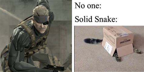 metal gear box funny|metal gear jokes.